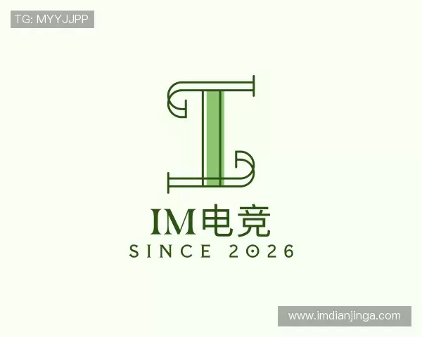 关于IM电竞